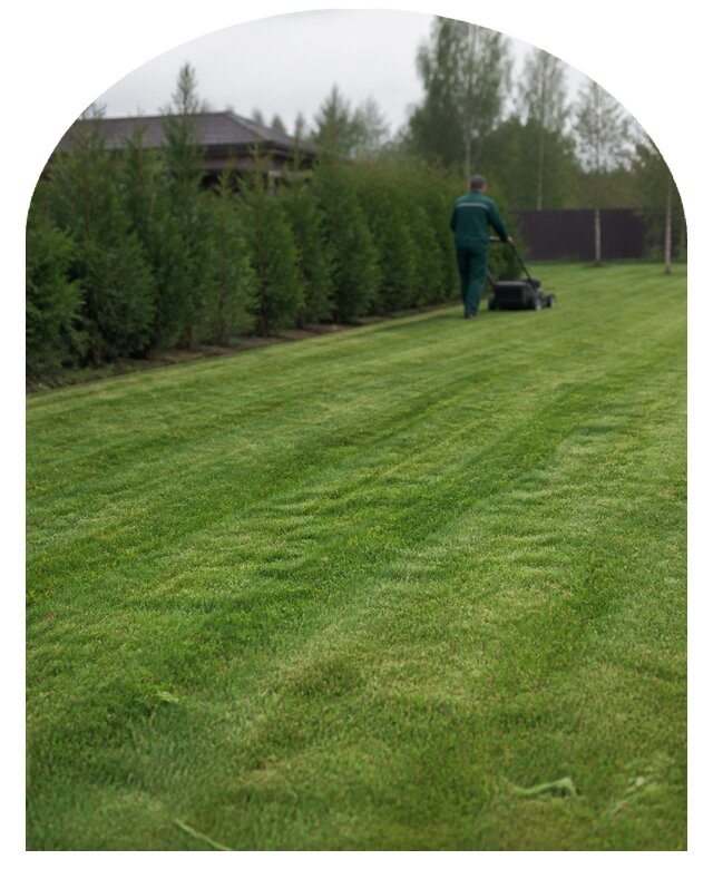 Покос газона в Геленджике по цене от 4677 р. | Метпроект-Глн